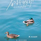 不负春日好时光[鸭子][玫瑰]