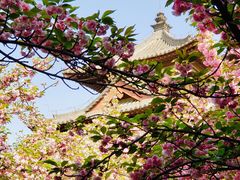 -西安青龙寺遗址景区