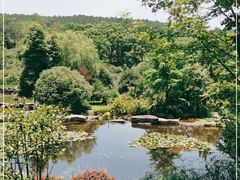 -铁山坪森林公园