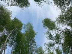 -梅岭月亮湾山体公园