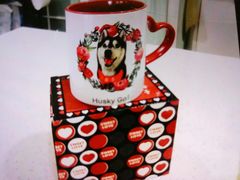 -Husky Go! 哈士奇体验馆·宠物咖啡厅狗咖