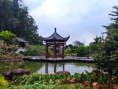 -广州神农草堂中医药博物馆