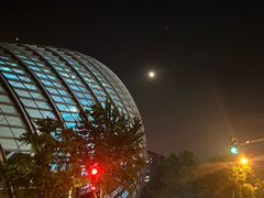 -凤凰中心