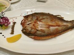 干煎七星鲈鱼-亢龙太子酒轩(东湖店)