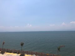 -七鲜渔港美食餐厅(巽寮湾海景店)