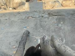 -香港海洋公园