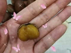 -阿男野栗王(金门路店)