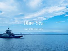 -崇海汽渡临永渡口
