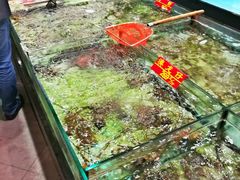 -海龙渔村(万江分店)