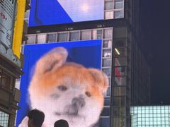 -心斋桥