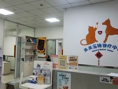 -美美宠物诊疗中心·异宠·骨科(滨江东信分院)