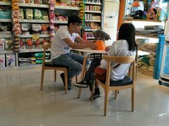 -我爱吾宠宠物美容院(朝阳路店)