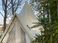 -安德鲁户外烧烤帐篷营地(马泉营店)