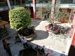 -云南古玩城(护国路店)