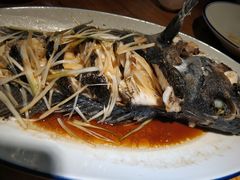 清蒸黑头鱼-吕氏疙瘩汤·私家菜馆(慈云寺店)