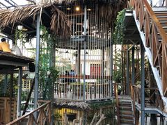 -Rainforest