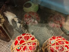 -有才叔的小馆(高新咖啡街区店)