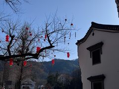 -九华山聚龙大酒店