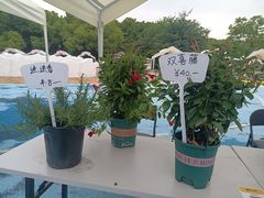 -石湖景区