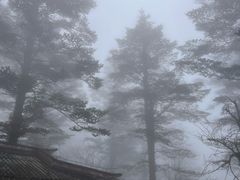 -峨眉山风景名胜区