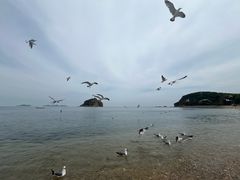 -棒棰岛宾馆景区