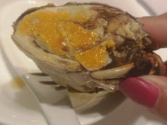 -新吉士·上海菜(浦东LCM置汇旭辉店)