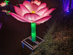 -东南花都花博园
