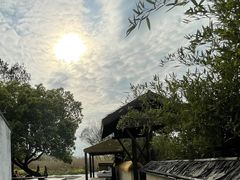 -同里国家湿地公园