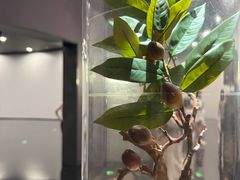 -中国湿地博物馆