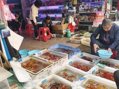 -清平路水族市场