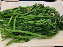 豆酱炒西洋菜-潮州菜馆(十里河店)