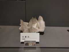 -重庆自然博物馆(新馆)