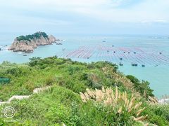 -枸杞岛