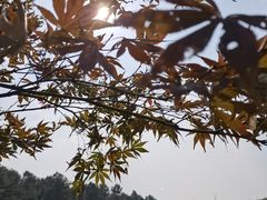 -湾里人家(旺山景区店)