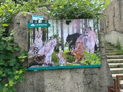 -大连森林动物园