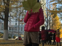 -辽东学院(南校区)