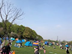 -昆山城市生态森林公园