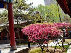 -碑林公园