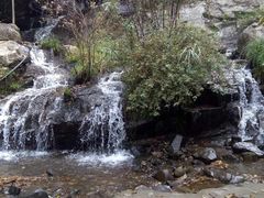 -藏龙百瀑风景区