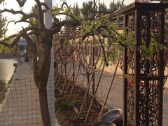iphone_upload_pic-北京潮河湾农业生态园