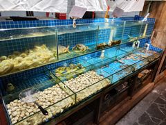 -烧货·活海鲜炭烧(湖滨商业街店)