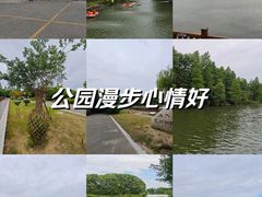 -尚湖风景区