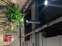 -野鸽子咖啡(中航店)