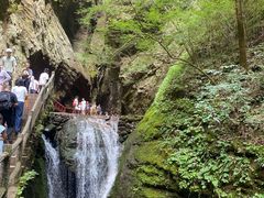 -牛背梁国家森林公园