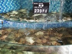 -浩运·海鲜青岛菜·海胆水饺(石老人店)
