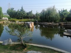 -羊亭河湿地公园