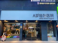 -御宝贝·A梦猫科宠物医院(国际猫友好医院)