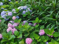 -常州古运河南大街文化旅游区-人民公园