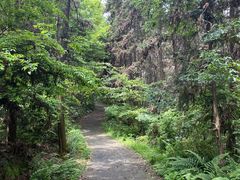 -青龙山国家森林公园