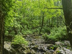 -香炉山国家森林公园